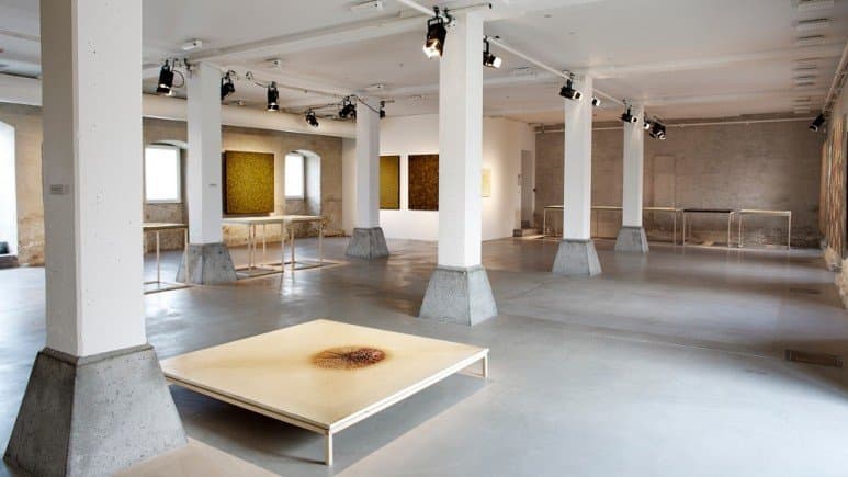 Voice, Harpsichord and Cello Concert